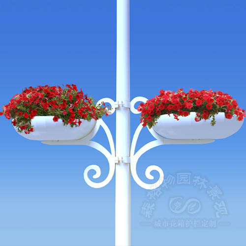 電線桿吊掛花盆