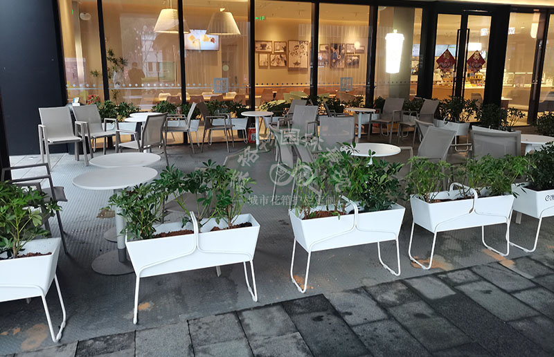 廣西花箱案例：嘉興商業街花箱花架隔斷案例