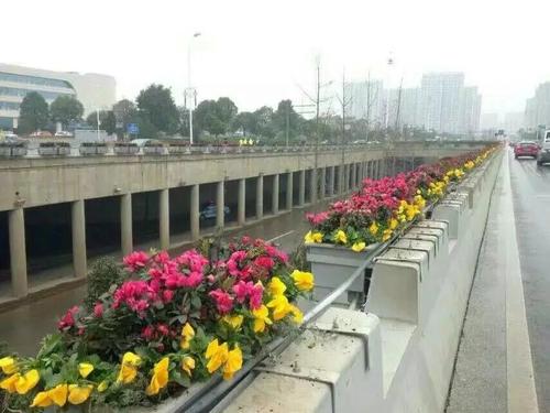 高架花箱可以用滴灌嗎？