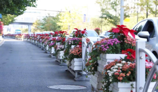 2021進博會綻放在道路、主題景點、花壇花境的園林小品美景