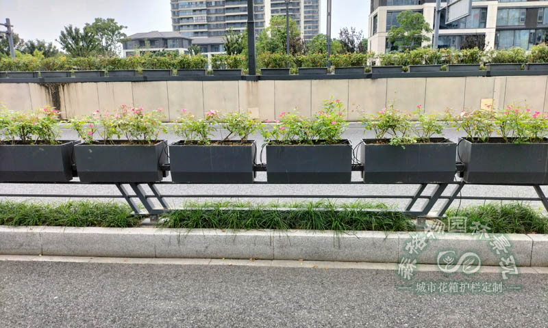 道路自動噴淋裝置馬鞍花箱案例