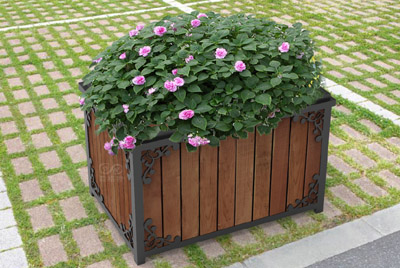 戶外花箱如何選擇合適的植物搭配？