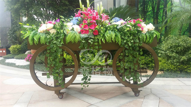 家用室內花箱適合種植什么花？ 