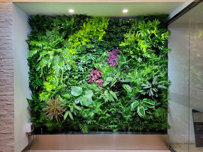 垂直綠化成為新時(shí)尚：家庭植物墻