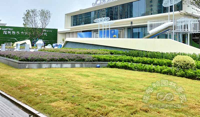 如何在主題公園景觀設計中做好植物配置