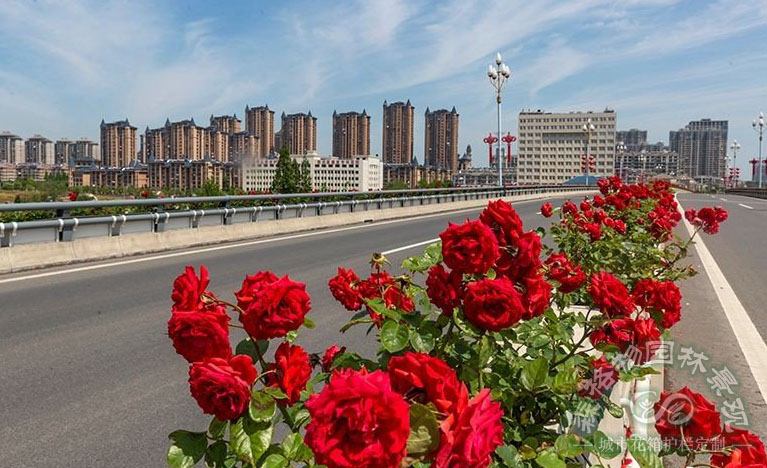 廣西橋梁花箱的裝飾作用表現(xiàn)在哪些方面