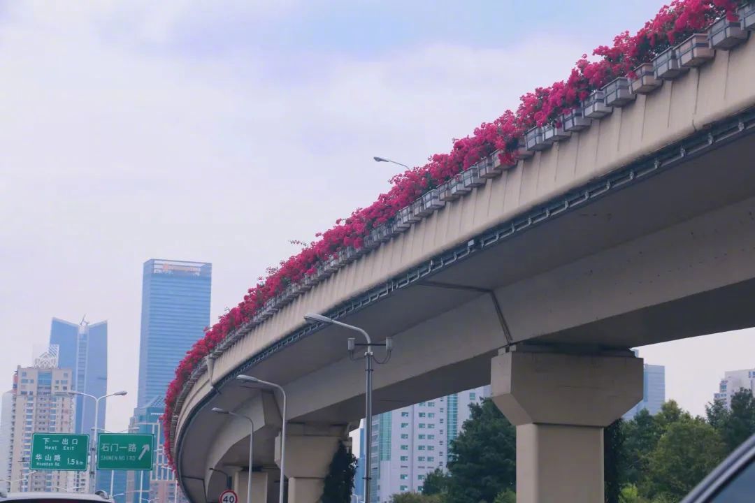 高架綠化應該怎樣做！